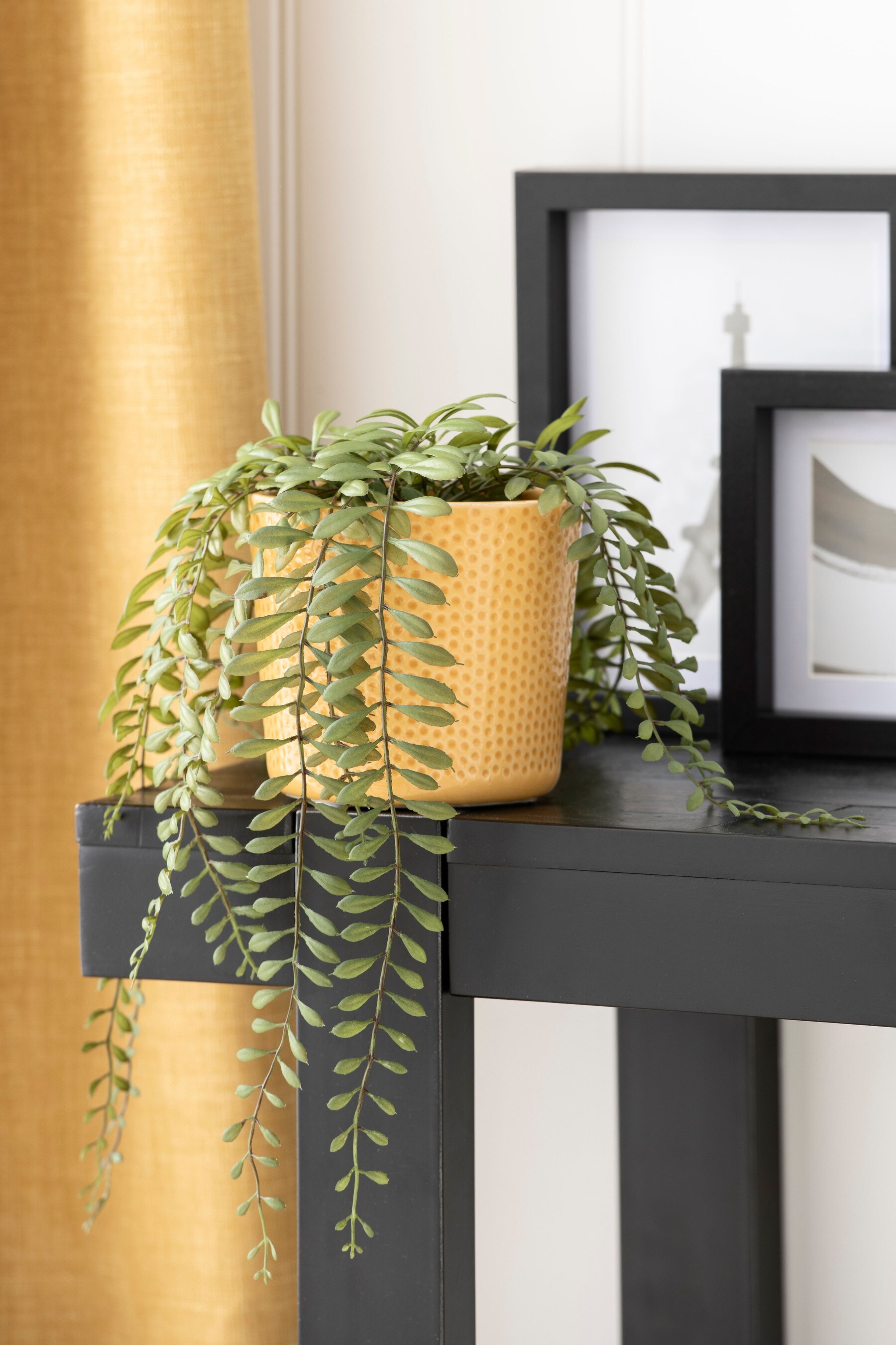Buy Artificial Trailing Plant in Ceramic Pot from the Next
